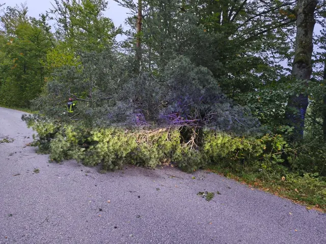 Foto: FF Aigen im Mühlkreis