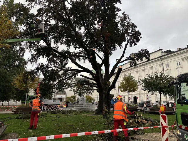 Foto: MeinBezirk / René Rebeiz