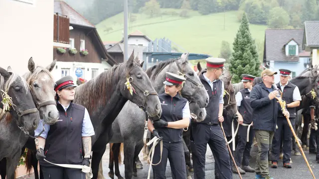 Foto: MeinBezirk/Justin Schrapf