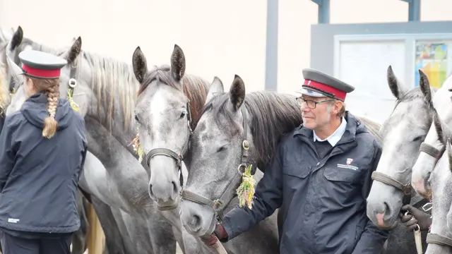 Foto: MeinBezirk/Justin Schrapf