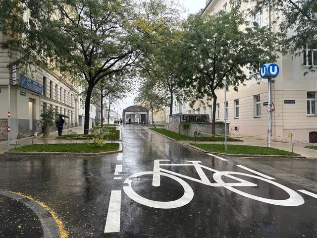 Foto: Matthias Pandrea/MeinBezirk