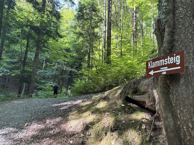Die Altenbach in Oberhaag gilt als besonderes Naturjuwel. | Foto: Waltraud Fischer