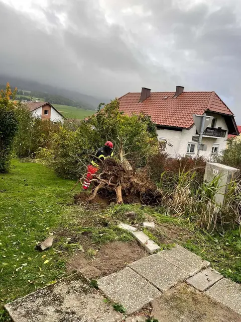 Foto: FF Ulrichsberg