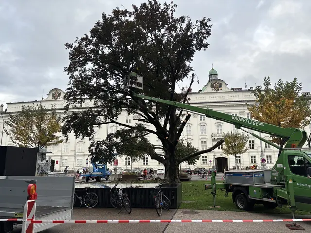 Foto: MeinBezirk / René Rebeiz