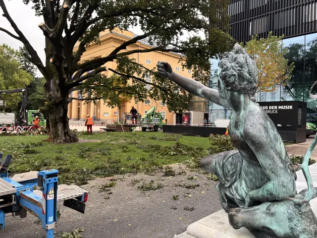 Foto: MeinBezirk / René Rebeiz