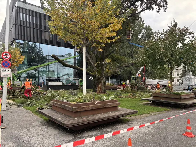 Foto: MeinBezirk / René Rebeiz