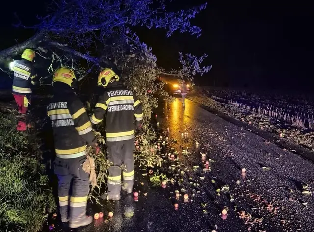 Die Freiwillige Feuerwehr Steinberg-Rohrbach im Einsatz: Umgestürzte Bäume blockierten die Straßen in Thal und Rohrbach. | Foto: FF Steinberg-Rohrbach