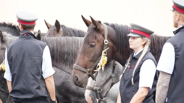 Foto: MeinBezirk/Justin Schrapf