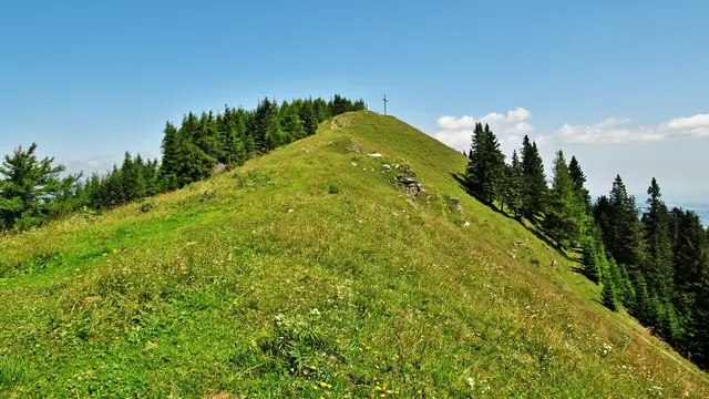 Über den Hochalmweg hinauf zum Erzkogel ... | Foto: © Silvia Plischek