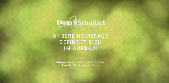 Foto: Screenshot domschnitzel.at