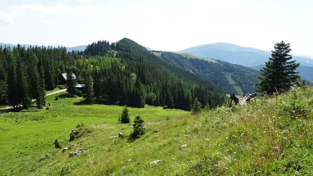 Beim Abstieg - der Blick zur Sonnwendsteinstraße sowie hinüber zum Erzkogel, Hochalmweg und Dürriegel-Kammweg. Ebenso sieht man etwas unterhalb des Bergkamms teilweise den Verlauf der Forststraße, die wir für diese Rundwanderung als Rückweg zum Hirschenkogel auserkoren haben.
 | Foto: © Silvia Plischek