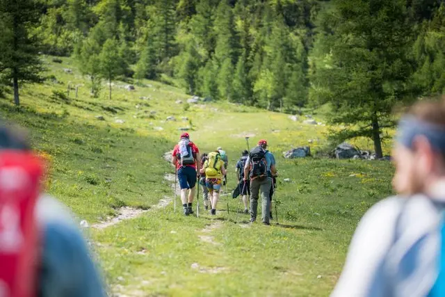 Seit dem heurigen Spätsommer können alle Wandernadeln der Region nicht nur klassisch im Wanderpass, sondern auch ganz bequem digital über die App SummitLynx gesammelt werden.  | Foto: Alpenverein/Peter Neuner-Knabl