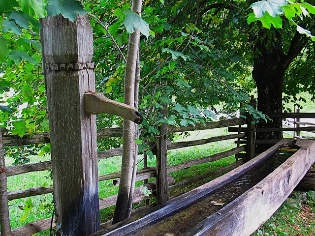 Seniorenbund Anif - Ausflug nach Kramsach /Tirol
Im Bauernhäuser-Freilichtmuseum !
