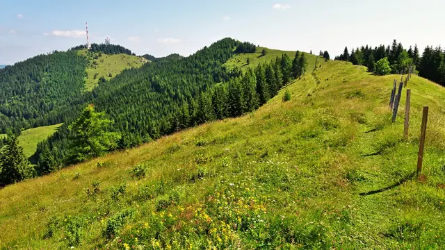 ... über den Dürriegel, Hochalmweg und Erzkogel auf den Sonnwendstein  | Foto: © Silvia Plischek