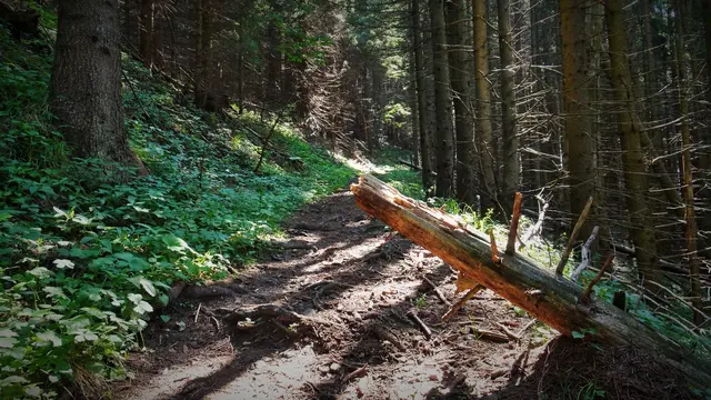 Foto: © Silvia Plischek