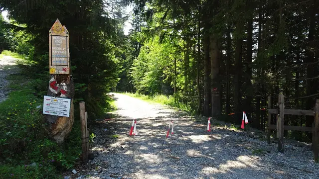 Kreuzung: Hier mündet der Hochalm-/Kammweg in die Sonnwendsteinstraße. ... Für den Rückweg zum Hirschenkogel rechts abbiegen. ...
 | Foto: © Silvia Plischek