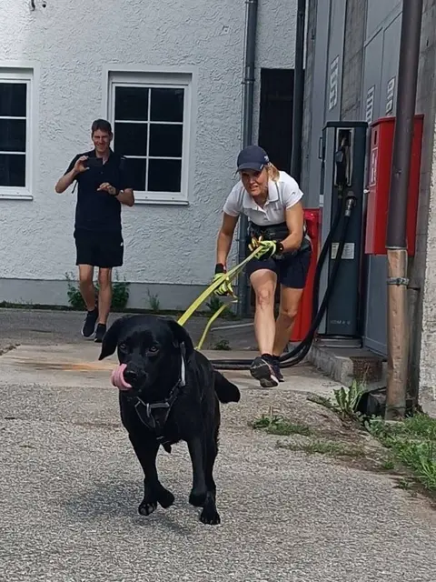 Mantrailing-Hunde sind unverzichtbare Helfer. | Foto: Traildogs Europe