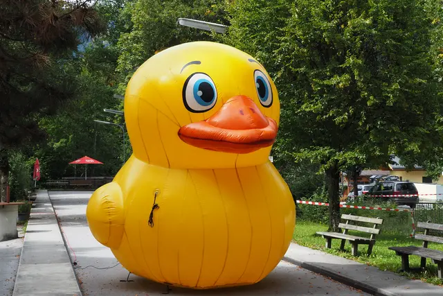 Foto: Lions Club Zell am See