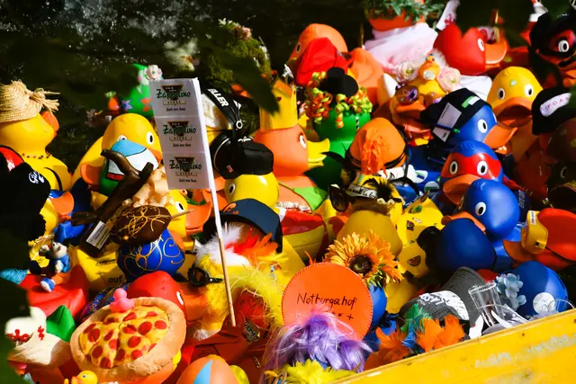 Foto: Lions Club Zell am See