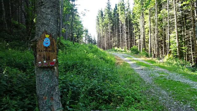 Auf geht's zum Kammweg ...  | Foto: © Silvia Plischek