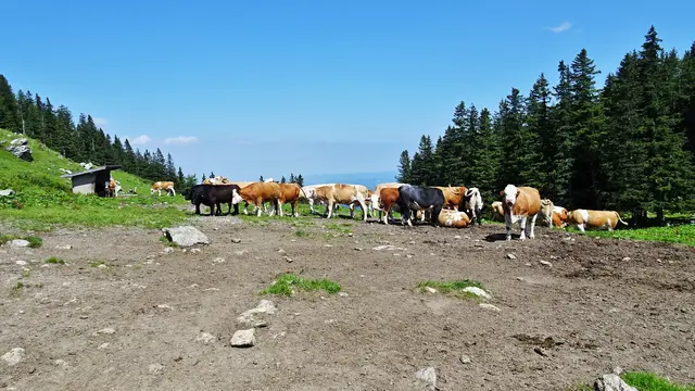 Foto: © Silvia Plischek