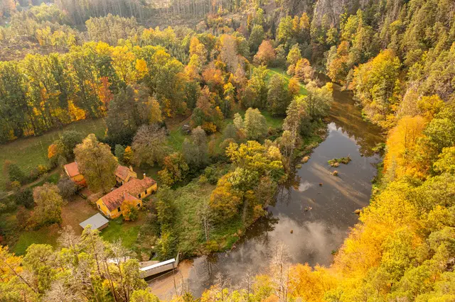 Das Thayatal im Herbst | Foto: Die Stimme der Thaya