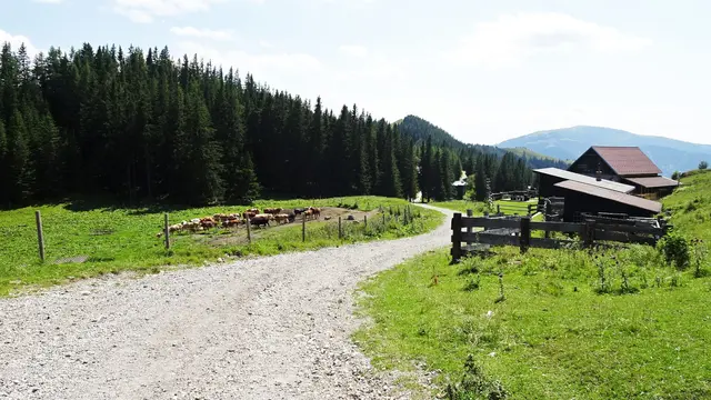 Rückweg über die Schober-Alm, ... | Foto: © Silvia Plischek