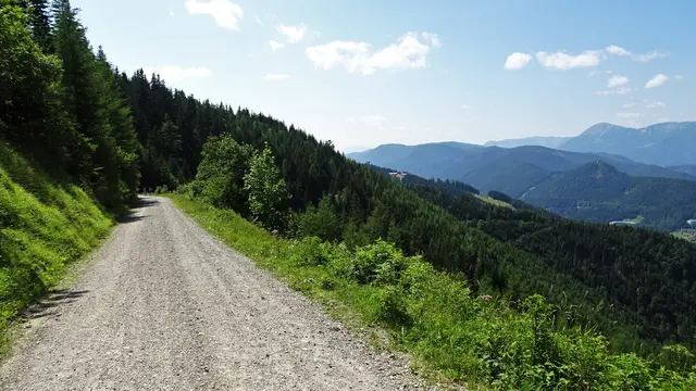 Weiter geht's auf der vorhin gezeigten Forststraße (Sonnwendsteinstraße / NLW) in Richtung Hirschenkogel. ... | Foto: © Silvia Plischek
