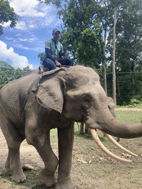 Foto: Stefan Liebhart