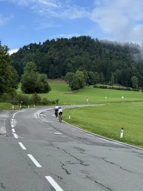 Zwischen der Abzweigung der Brauhausstraße und der Gaisbergspitze gilt für alle Kraftfahrzeuge ein allgemeines Fahrverbot - ausgenommen sind AnrainerInnen und Gäste der Betriebe mit einer Reservierungsbestätigung. Und morgen neu: Menschen mit Behindertenpass sind von der Sperre ausgenommen. | Foto: Land Salzburg/Melanie Hutter