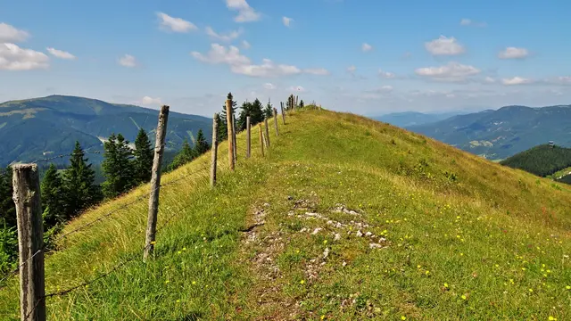 Am Kammweg eröffnet sich ein spektakulärer Rundumblick. ... 
Es empfiehlt sich, stehen zu bleiben und mit einer 360°-Drehung das wunderschöne Panorama an der niederösterreichischen-steirischen Grenze zu genießen. ...
 | Foto: © Silvia Plischek