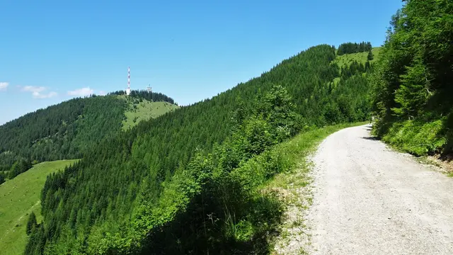 Am Rückweg zum Hirschenkogel (Alpannonia / NLW) der Blick zurück zum Sonnwendstein. ... | Foto: © Silvia Plischek