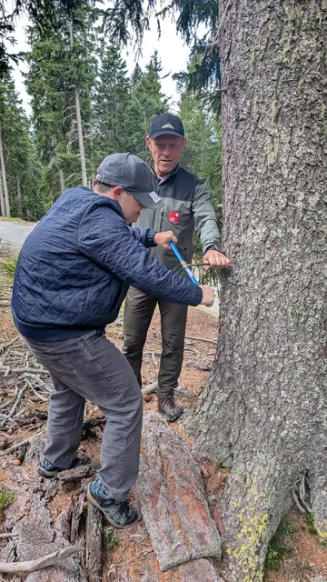 Die Förster veranschaulichten den Er-Lebensraum „Wald“, was die Klienten der Lebenshilfe Steinach sichtlich begeisterte.  | Foto: BFI Steinach