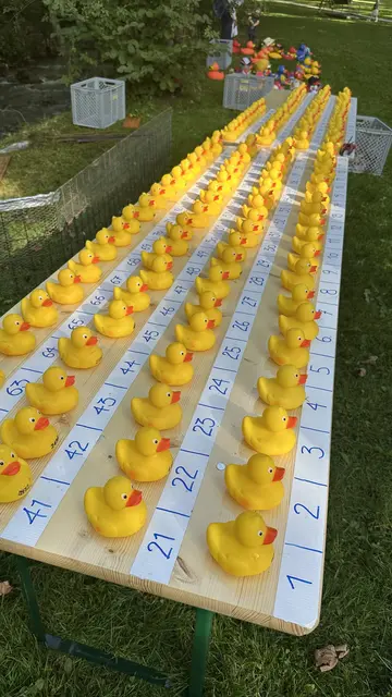 Foto: Lions Club Zell am See