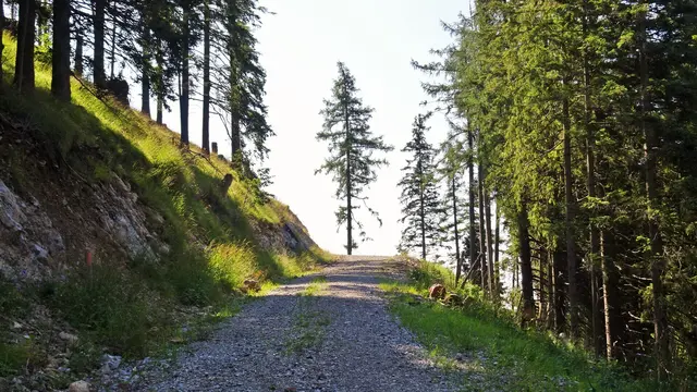 Foto: © Silvia Plischek