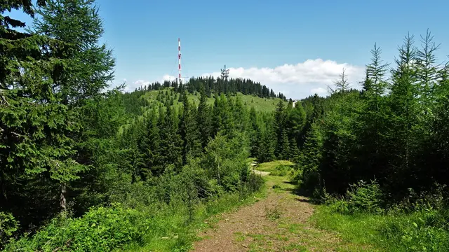 Vom Gipfelkreuz sieht man bereits das letzte Stück des Weges zum Sonnwendstein und zur Polleres-Hütte. ... | Foto: © Silvia Plischek