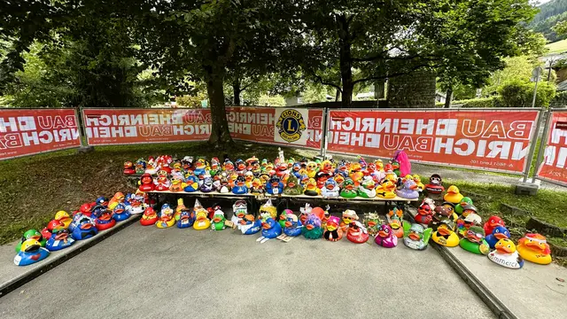 Foto: Lions Club Zell am See