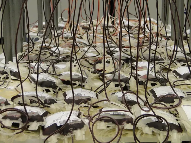 Im Bundesland Salzburg werden durchschnittlich 120 Blutkonserven pro Tag benötigt. Durch kontinuierliche Spenden kann die Versorgung mit Blutreserven für Kranke und Menschen in Not gesichert werden. (Symbolbild) | Foto: pixabay.com