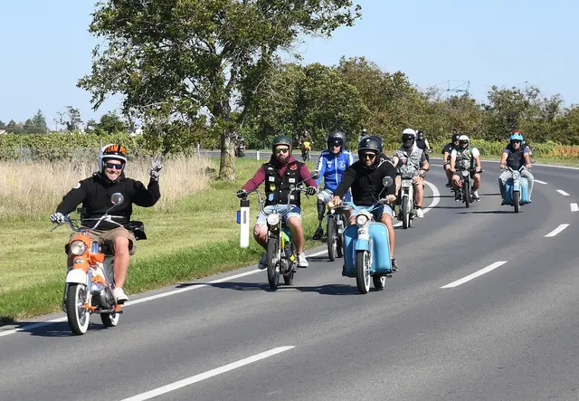 80 Mopeds, vorwiegend Puch Maxi, waren heuer bei der Neusiedler See Rundfahrt dabei.  | Foto: der-rasende-reporter.info