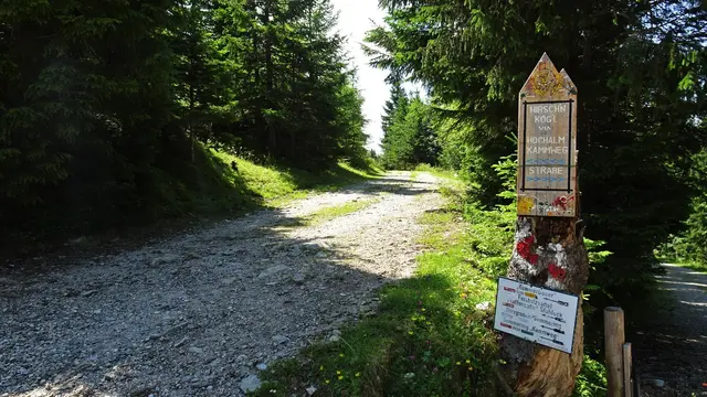 Kreuzung: Hier mündet der Hochalm-/Kammweg in die Sonnwendsteinstraße. ...  | Foto: © Silvia Plischek