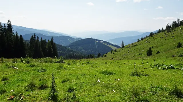 ... der Blick zum Hirschenkogel. | Foto: © Silvia Plischek