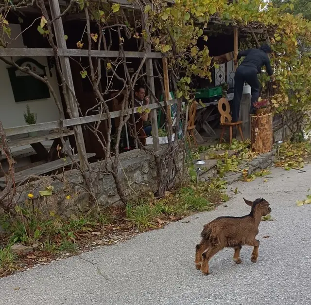 Seniorenbund Anif - Ausflug nach Kramsach /Tirol
Im Bauernhäuser-Freilichtmuseum !