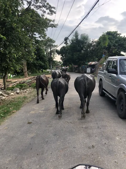 Foto: Stefan Liebhart