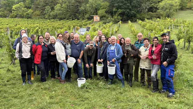 Uschi (8.v.l.) und Bernhard Treibenreif (10.v.l.) mit den fleißigen Weinlesehelfern. | Foto: Zezula