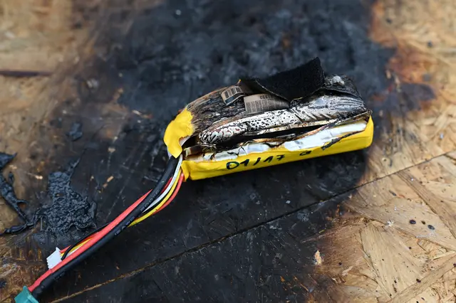 Foto: Wilfried Fischer