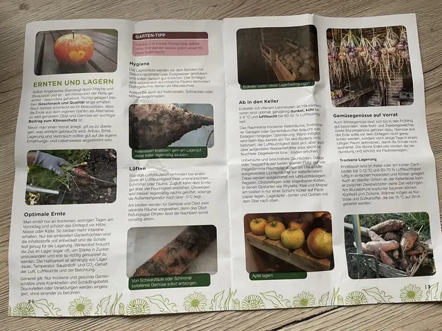 Den Flyer konnten sich die teilnehmenden Gäste mit nach Hause nehmen, um daheim stets auf die Informationen zurückgreifen zu können. | Foto: Vanessa Wittmann 