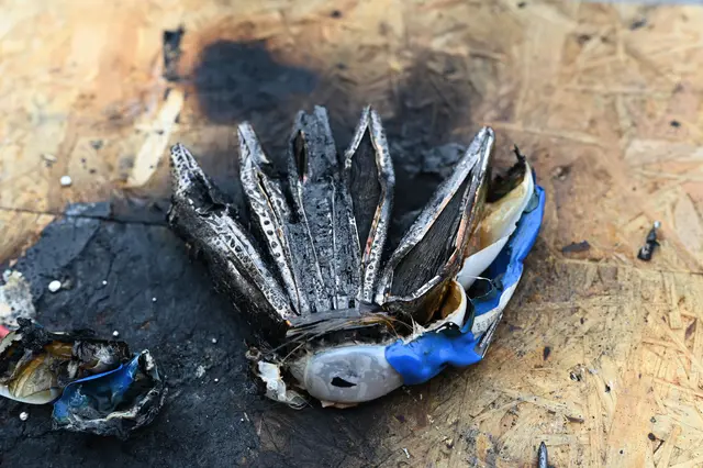 Foto: Wilfried Fischer