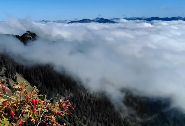 Herrliche Aussicht! | Foto: H.Bachinger
