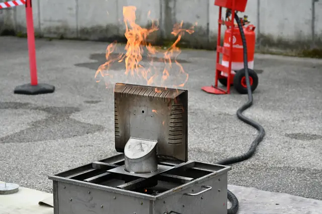 Foto: Wilfried Fischer