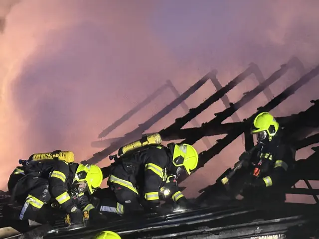 120 Feuerwehrleute rückten an den Brandort aus. | Foto: Bezirksfeuerwehrkommando Güssing